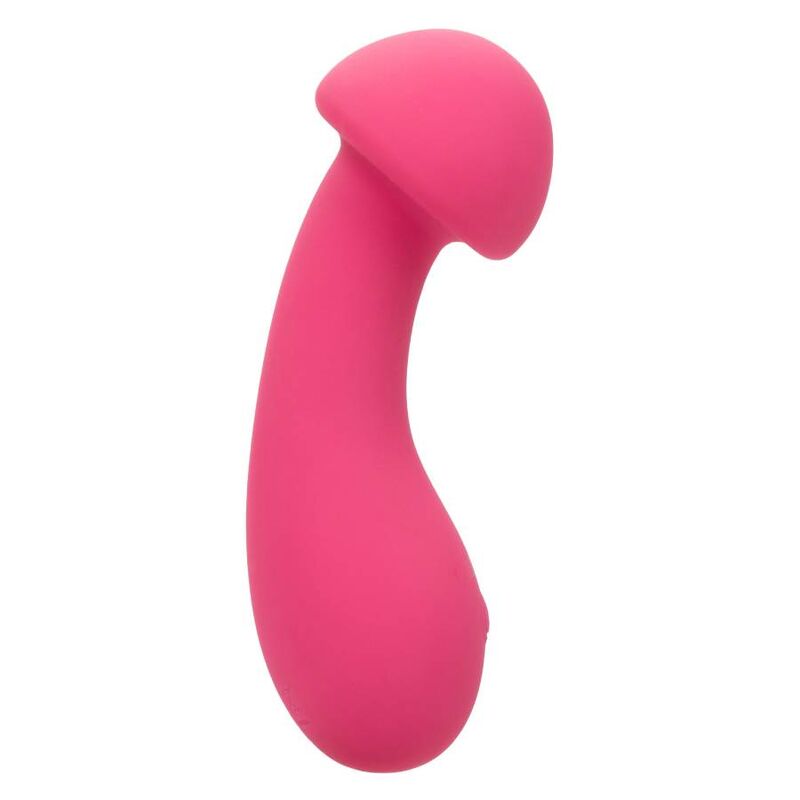 CALEXOTICS - PIXIES EXCITER ROSE CALEXOTICS
