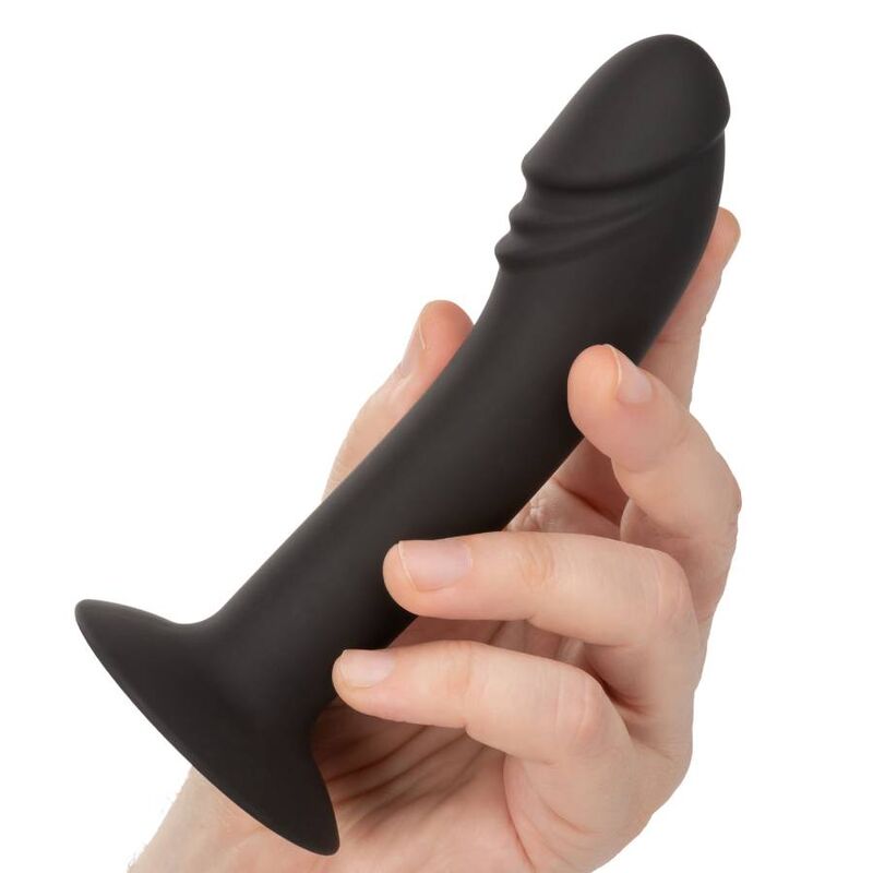 CALEXOTICS - STUD ANAL COURB? CALEXOTICS