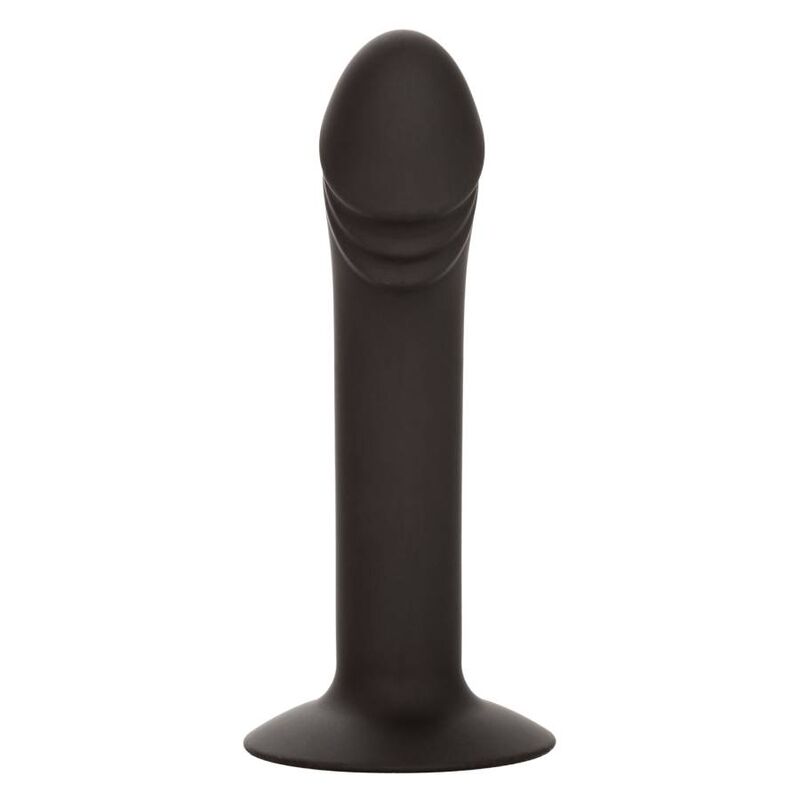 CALEXOTICS - STUD ANAL COURB? CALEXOTICS
