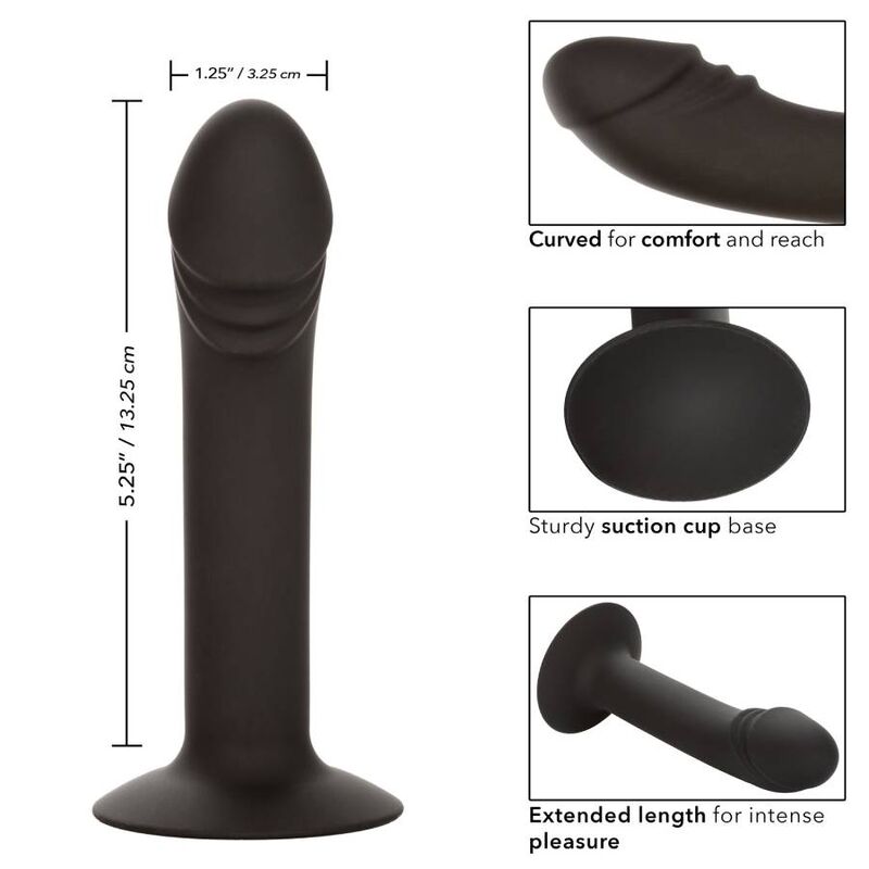 CALEXOTICS - STUD ANAL COURB? CALEXOTICS
