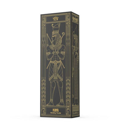 ZALO - PROPULSEUR KING NOIR ZALO