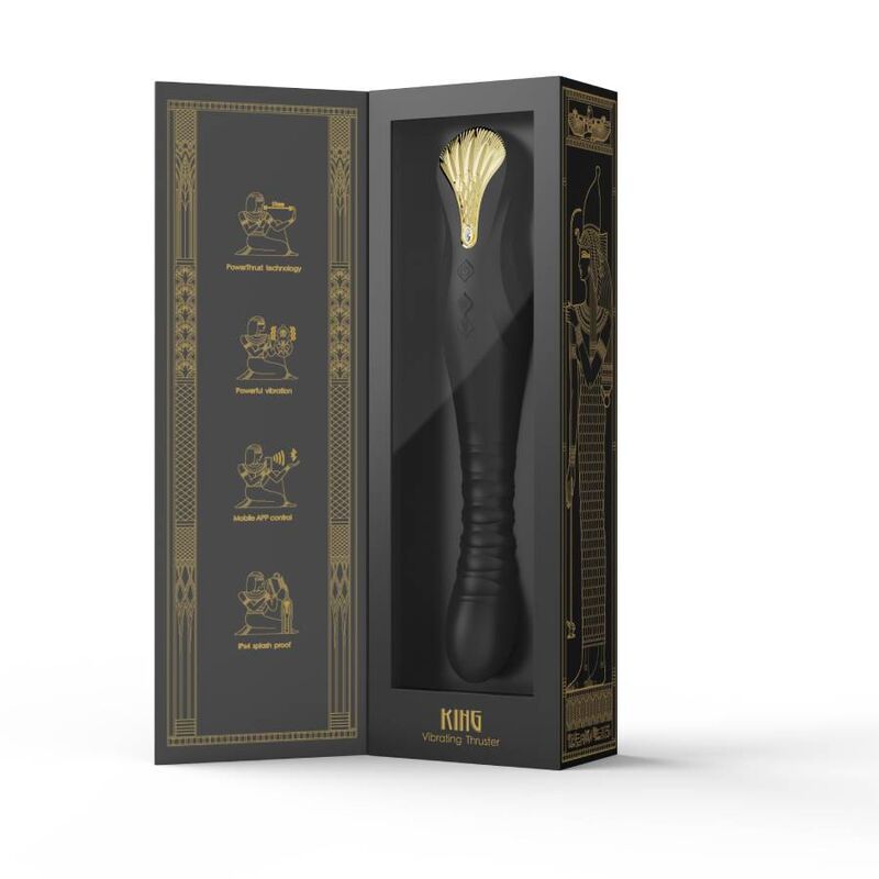 ZALO - PROPULSEUR KING NOIR ZALO