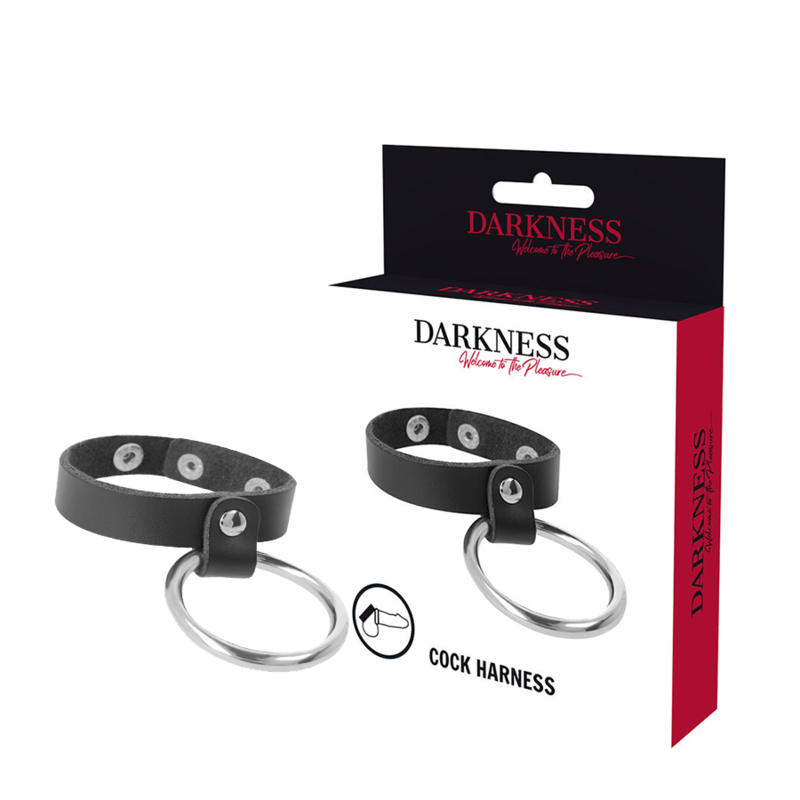 DARKNESS - ANNEAU MÉTALLIQUE POUR LE PÉNIS ET LES TESTICULES DARKNESS BONDAGE