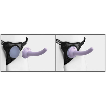 DILLIO - HARNAIS BODY DOCK VIOLET DILLIO
