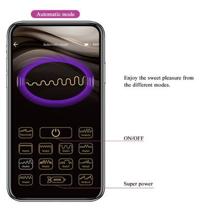 PRETTY LOVE - BALLES VIBRANTES RECHARGEABLES ELVIRA VIOLET PRETTY LOVE SMART
