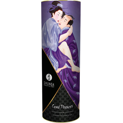 SHUNGA - KIT DE COLLECTION Plaisirs Charnels SHUNGA KITS