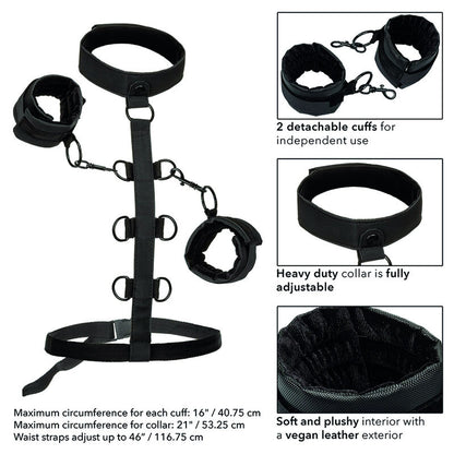 CALEXOTICS - BOUNDLESS COLLIER DE RETENUE CALEXOTICS