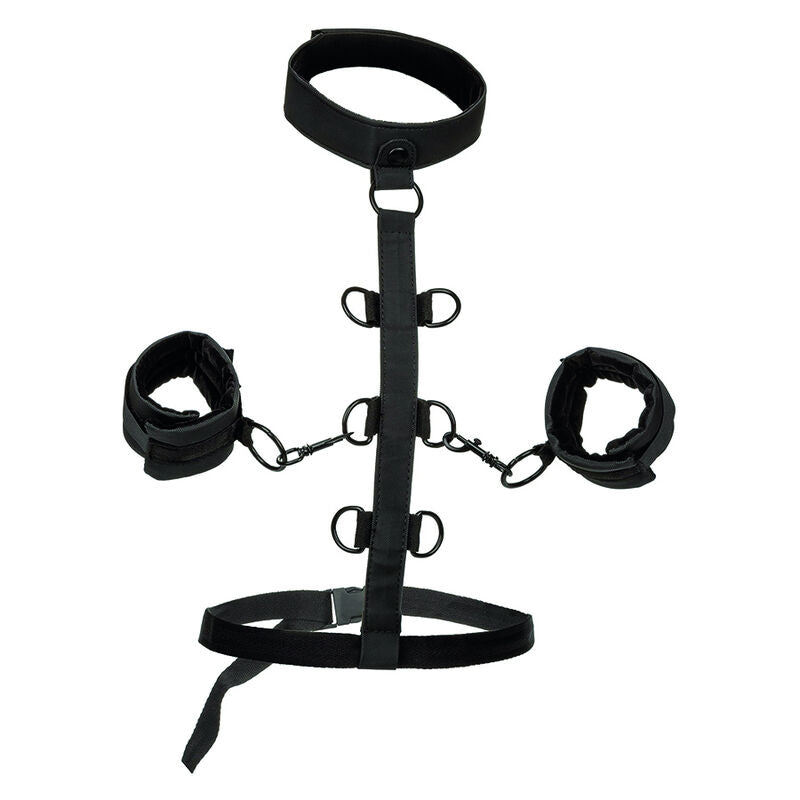 CALEXOTICS - BOUNDLESS COLLIER DE RETENUE CALEXOTICS