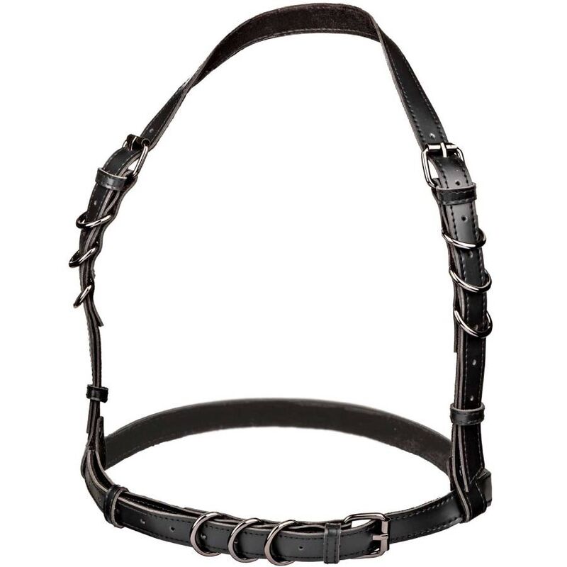 CALEXOTICS - EUPHORIA HARNAIS BOUCLE LICOL TAILLE PLUS NOIR CALEXOTICS