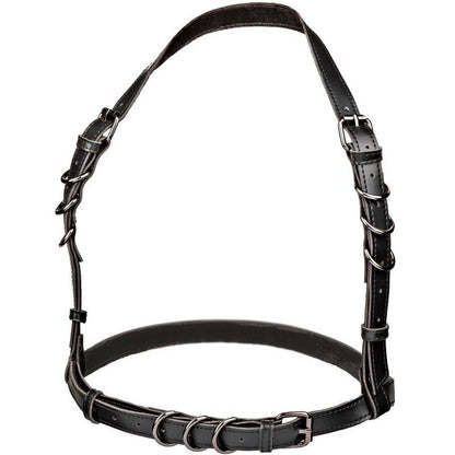 CALEXOTICS - EUPHORIA HARNAIS BOUCLE LICOL TAILLE PLUS NOIR CALEXOTICS