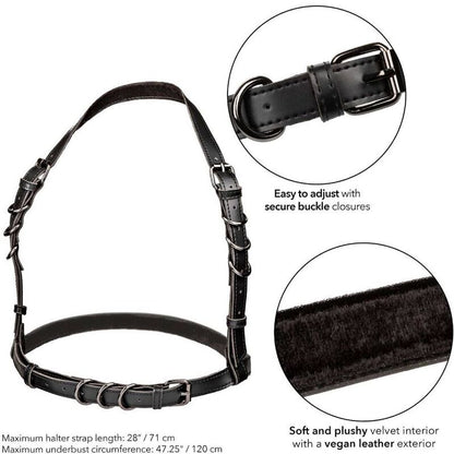 CALEXOTICS - EUPHORIA HARNAIS BOUCLE LICOL TAILLE PLUS NOIR CALEXOTICS