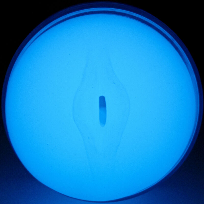 KIIROO - SENTEZ GLOW IN THE DARK STROKER KIIROO