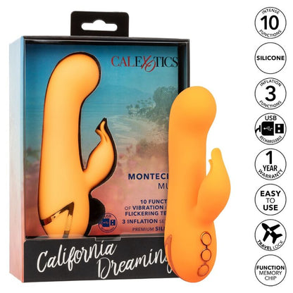 CALEXOTICS - MONTECITO MUSE VIBRATEUR LAPIN ORANGE PAR CALIFORNIA DREAMING CALEXOTICS