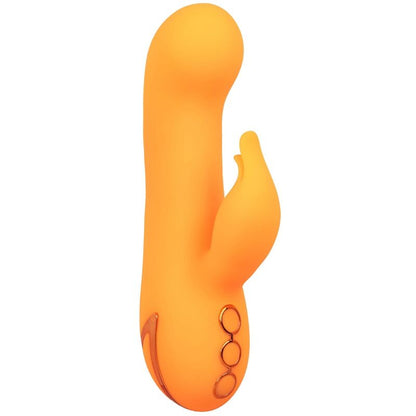 CALEXOTICS - MONTECITO MUSE VIBRATEUR LAPIN ORANGE PAR CALIFORNIA DREAMING CALEXOTICS