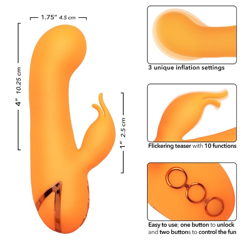 CALEXOTICS - MONTECITO MUSE VIBRATEUR LAPIN ORANGE PAR CALIFORNIA DREAMING CALEXOTICS