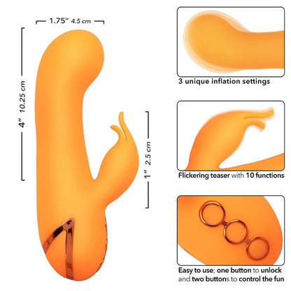 CALEXOTICS - MONTECITO MUSE VIBRATEUR LAPIN ORANGE PAR CALIFORNIA DREAMING CALEXOTICS