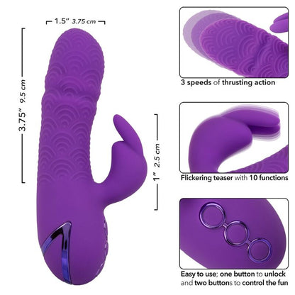 CALEXOTICS - MANHATTAN BEACH MARVEL VIBRATEUR RABBIT VIOLET PAR CALIFORNIA DREAMING CALEXOTICS