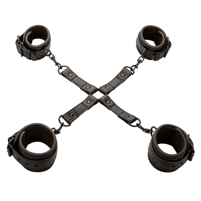 CALEXOTICS - NOCTURNAL CONNECTEUR TIE HOG CUERO AJUSTABLE NOIR CALEXOTICS