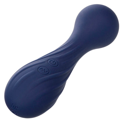 CALEXOTICS - CHARISMA TEMPTATION MASSEUR 12 FONCTIONS VIOLET CALEXOTICS