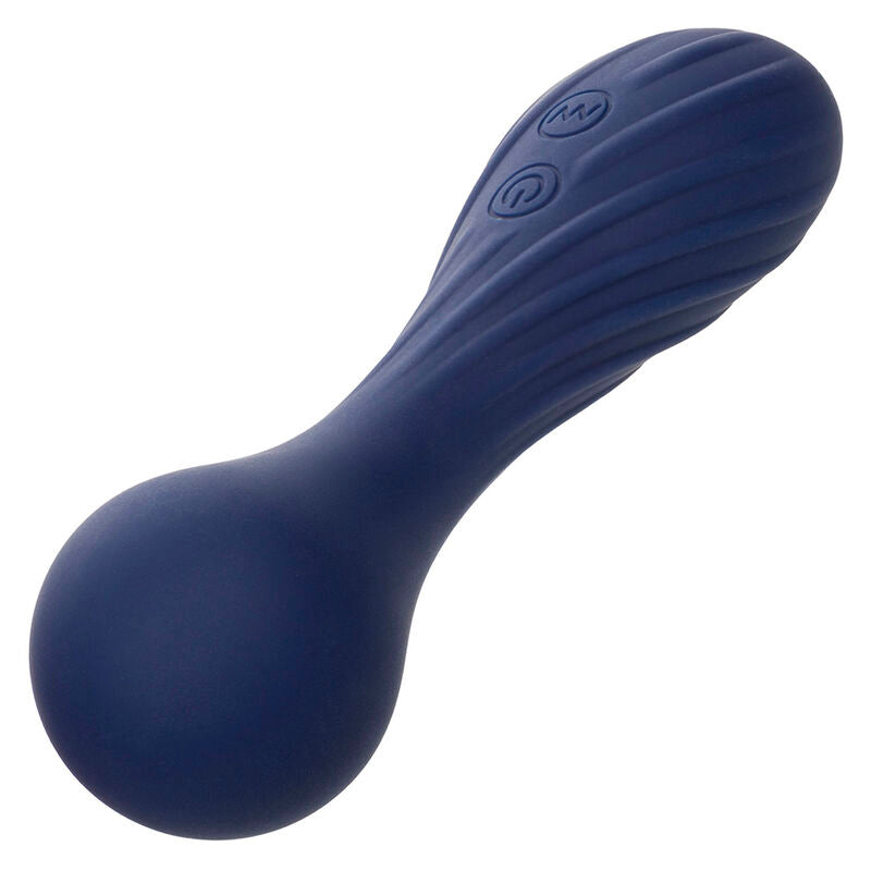 CALEXOTICS - CHARISMA TEMPTATION MASSEUR 12 FONCTIONS VIOLET CALEXOTICS