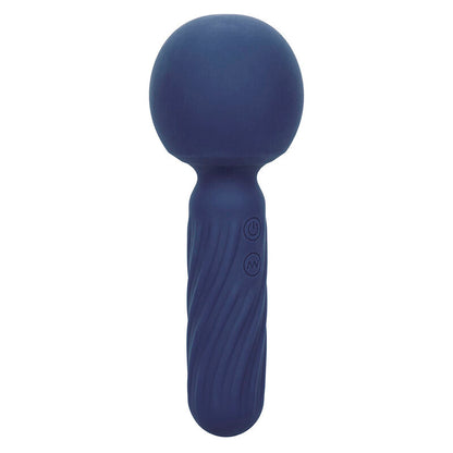 CALEXOTICS - CHARISMA SEDUCTION MASSEUR 12 FONCTIONS 17,75 CM X 6,25 CM VIOLET CALEXOTICS