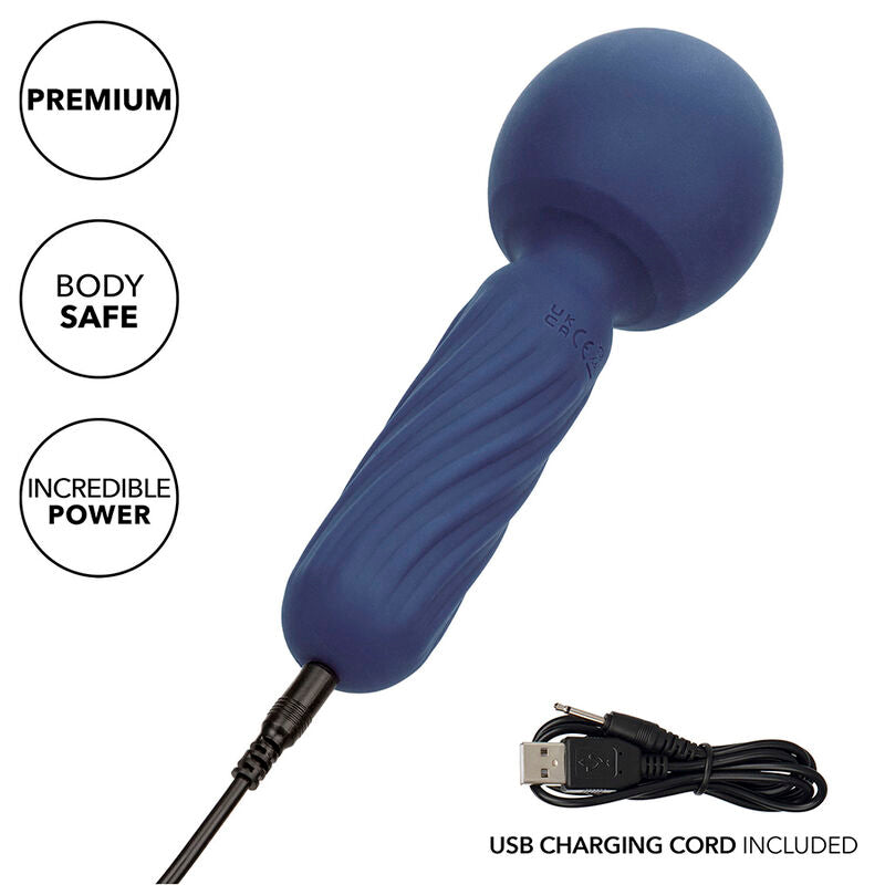 CALEXOTICS - CHARISMA SEDUCTION MASSEUR 12 FONCTIONS 17,75 CM X 6,25 CM VIOLET CALEXOTICS