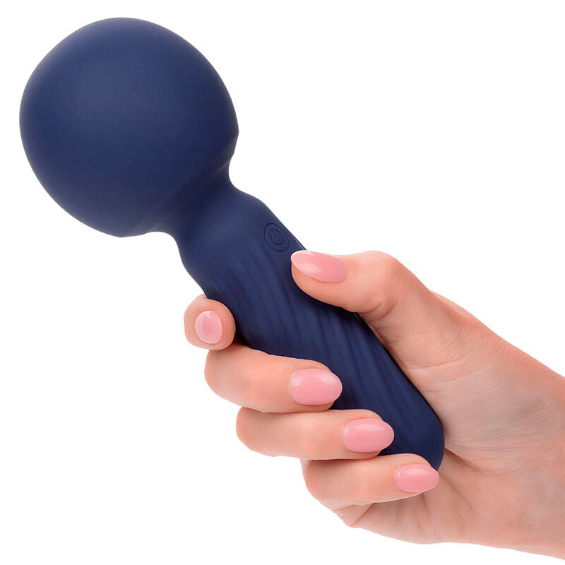 CALEXOTICS - CHARISMA SEDUCTION MASSEUR 12 FONCTIONS 17,75 CM X 6,25 CM VIOLET CALEXOTICS