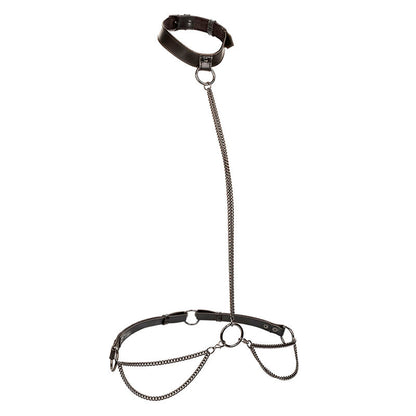 CALEXOTICS - EUPHORIA COLLIER ET LAISSE CHAINE CALEXOTICS