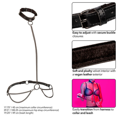 CALEXOTICS - EUPHORIA COLLIER ET LAISSE CHAINE CALEXOTICS