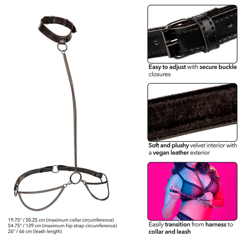 CALEXOTICS - EUPHORIA COLLIER LICOL ET LAISSE GRANDE TAILLE CALEXOTICS