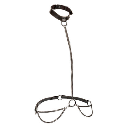 CALEXOTICS - EUPHORIA COLLIER LICOL ET LAISSE GRANDE TAILLE CALEXOTICS