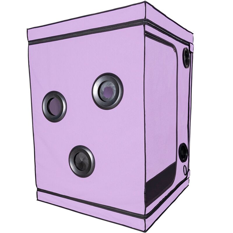 SECRET DOME - KINK CLUB CABINE SCANDALE PURPLE SECRET DOME