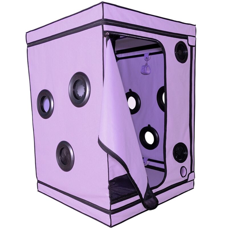 SECRET DOME - KINK CLUB CABINE SCANDALE PURPLE SECRET DOME