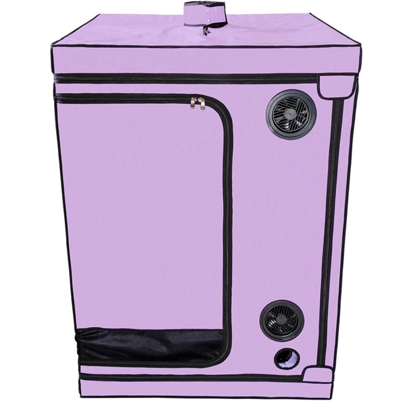 SECRET DOME - KINK CLUB CABINE SCANDALE PURPLE SECRET DOME