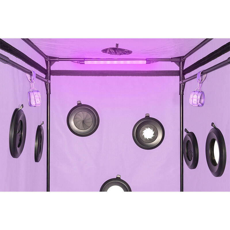SECRET DOME - KINK CLUB CABINE SCANDALE PURPLE SECRET DOME