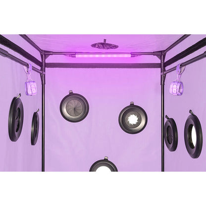 SECRET DOME - KINK CLUB CABINE SCANDALE PURPLE SECRET DOME