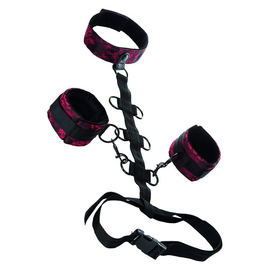 CALEXOTICS - SCANDAL SUPPORT COMPORAL  AVEC COU CALEXOTICS