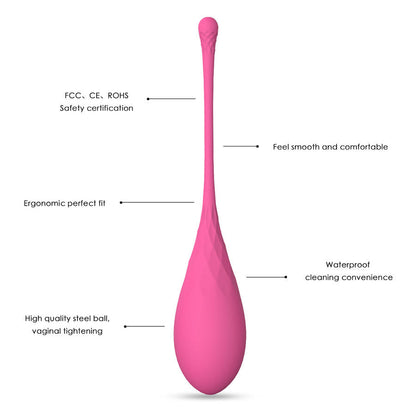 LESLIE - KEGEL FIT ENSEMBLE D'ENTRAÎNEMENT MUSCULAIRE PELVIEN 6 PCS LESLIE