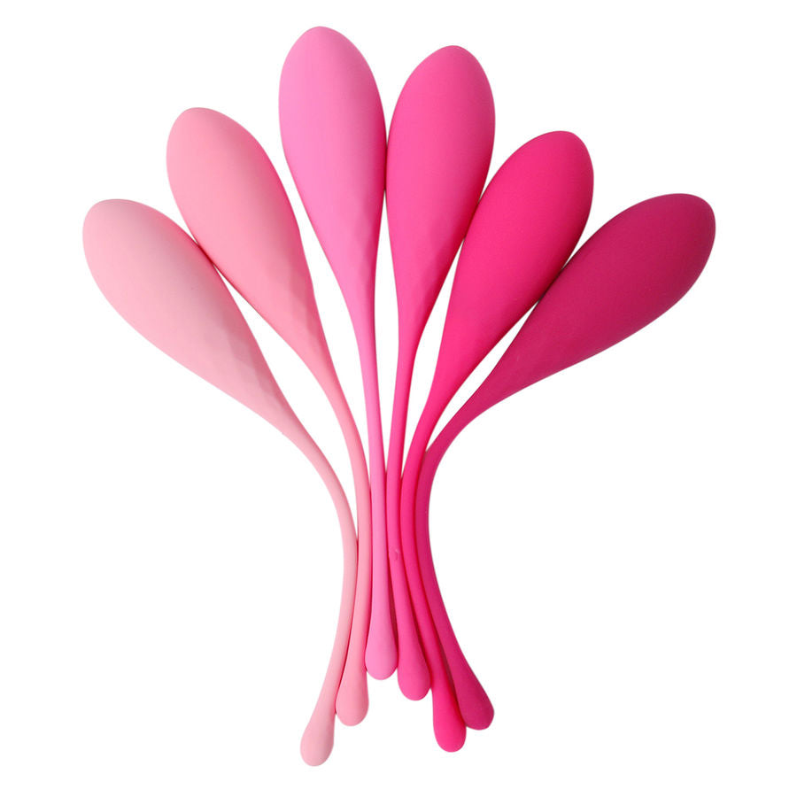 LESLIE - KEGEL FIT ENSEMBLE D'ENTRAÎNEMENT MUSCULAIRE PELVIEN 6 PCS LESLIE