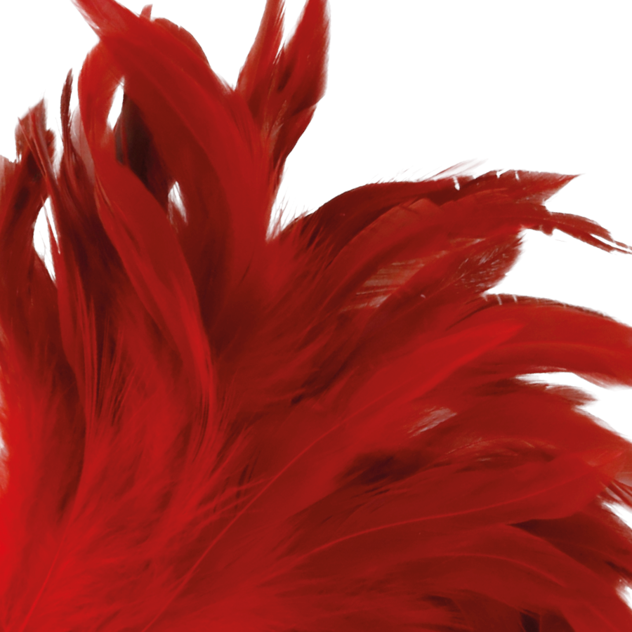 DARKNESS - STYLO STIMULANT ROUGE 24CM DARKNESS SENSATIONS