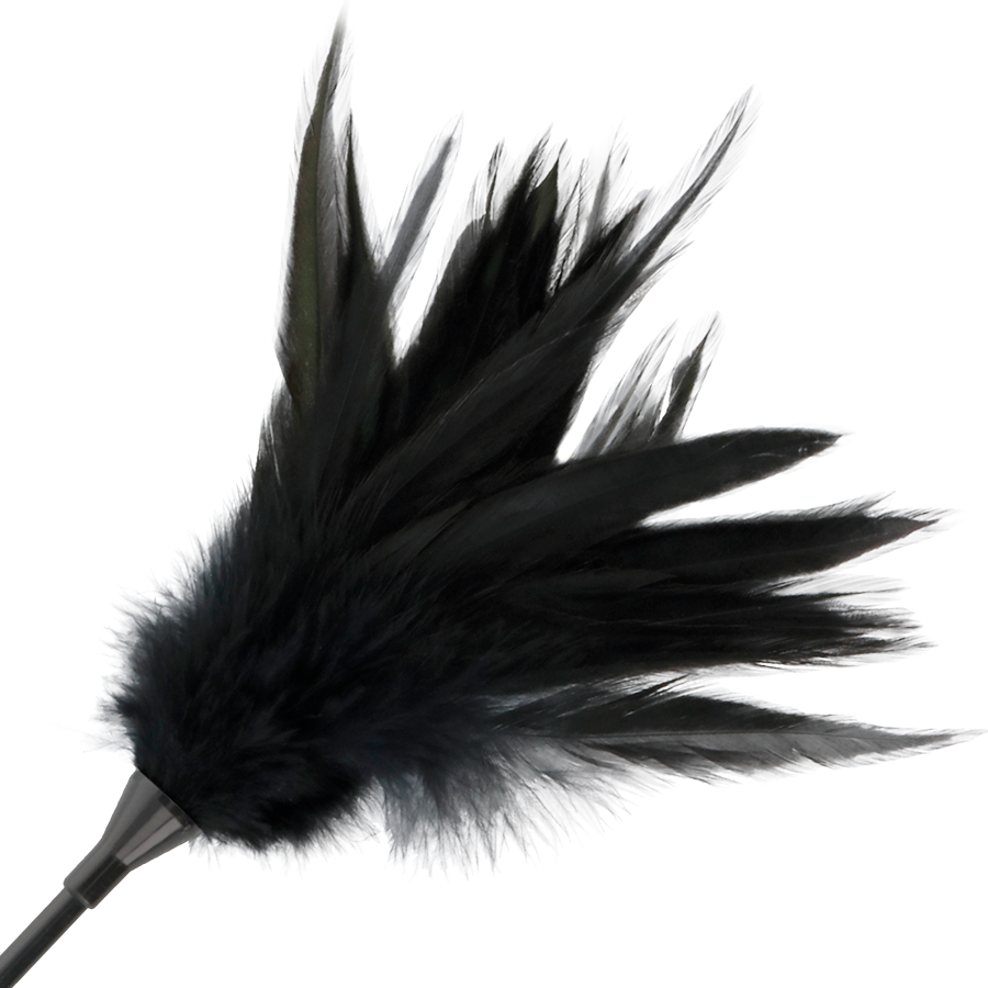 DARKNESS - FOUET À PLUMES NOIRES DARKNESS SENSATIONS