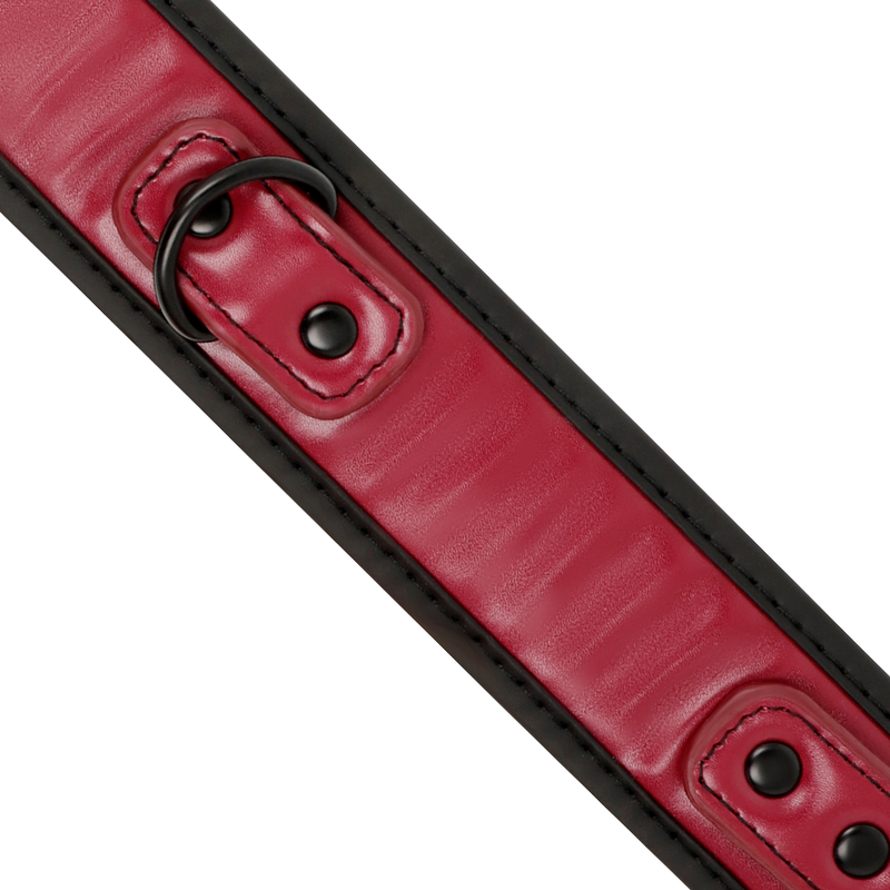 FETISH SUBMISSIVE DARK ROOM - COLLIER CHAÎNE DOUBLURE EN NÉOPRÈNE FETISH SUBMISSIVE DARK ROOM